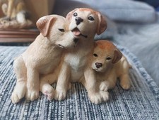 Dogs pups galore for sale Dogs pups galore for sale  CAMBRIDGE