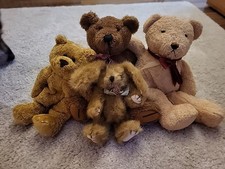 teddy sunkid gebraucht kaufen  Rosenheim