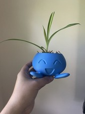 Cute plant tiny for sale  Fort Lauderdale