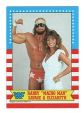 1987 topps wwe for sale  Greenville