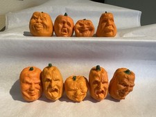 Halloween pumpkins jack for sale  Loveland