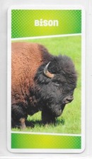 Carte cartatoto bison d'occasion  Nancy-