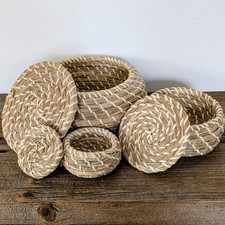 Rare nesting sweetgrass for sale  Rochester