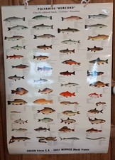 Lot affiches scolaires d'occasion  Solre-le-Château