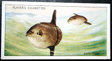 Usado, Cartão ilustrado SUN FISH Mola Mola Vintage 1935 EE02M comprar usado  Enviando para Brazil