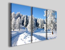 Quadro tela snow usato  Pontecagnano Faiano
