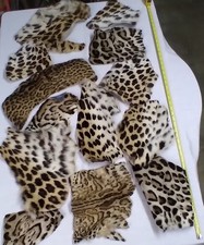 Ritagli pelliccia smanicati usato  Venegono Superiore