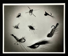 1982 fly fishing for sale  Chattanooga