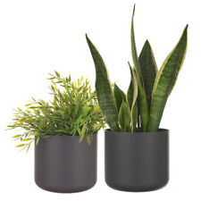 Plastic modern plant for sale  UK