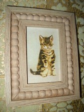 Kitten offers paw for sale  Fresno