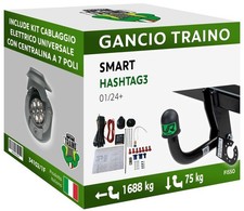 Gancio fisso smart usato  Campi Bisenzio