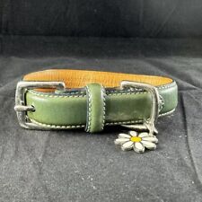 Coach dog pet for sale  Wells