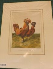Vintage engraving gold for sale  PORTLAND