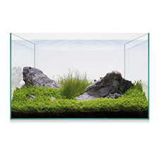 Ica kaq20 aquascape usato  Roccagloriosa