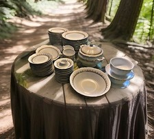 Tafelservice tafelgeschirr mit gebraucht kaufen  Weeze