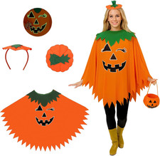 Mantello costume zucca usato  Roma