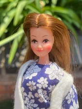 Vintage 1970 palitoy for sale  LOUGHBOROUGH