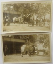1920 1930 due usato  Teramo