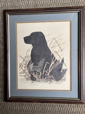 Black lab ducks for sale  Reading