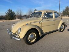 1964 volkswagen beetle for sale  Macungie