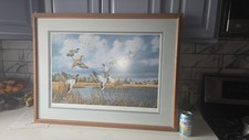 Wild wings collection for sale  Los Lunas