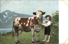 Child feeds cow for sale  USA