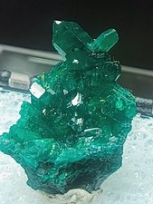 Dioptase republic congo. for sale  Franklin