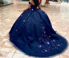 Quinceanera dress for sale  San Antonio