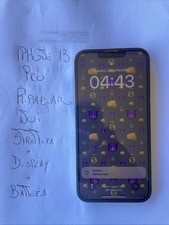 Apple iphone 13pro usato  Settimo Torinese