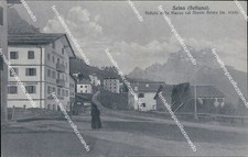 Ba295 cartolina selva usato  Tramonti