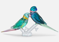 4 parakeets for sale  Hollywood