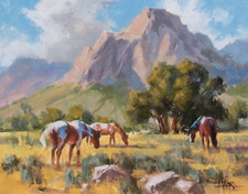 Tom haas painting for sale  Sierra Vista