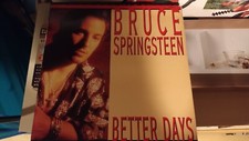 Bruce springsteen vinile usato  Portogruaro