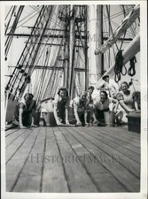 Usado, 1957 Press Photo "Cutty Sark" restauração quase concluída - KSB42549 comprar usado  Enviando para Brazil