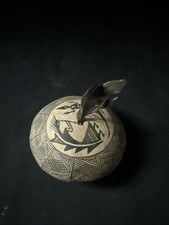 Acoma pueblo seed for sale  Ellington