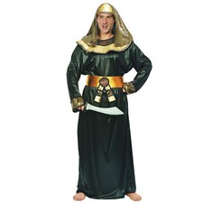 Ciao costume carnevale usato  Italia