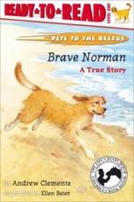 Brave norman true for sale  Montgomery