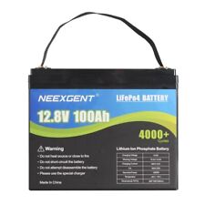 12v 100ah lifepo4 gebraucht kaufen  Heidenheim an der Brenz