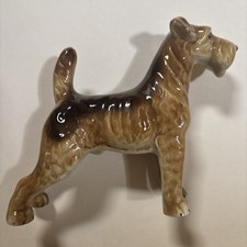 airedale dog for sale airedale dog for sale MARGATE