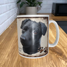 Patterdale terrier dog for sale  MANSFIELD