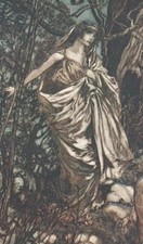 Hermia wanders woods for sale  Brunswick