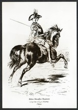 Achtes kürassier regiment gebraucht kaufen  Wetter (Ruhr)