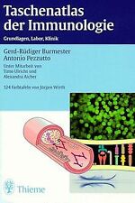 Taschenatlas immunologie burme gebraucht kaufen  Berlin