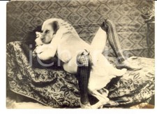 1920 pornografia vintage usato  Milano