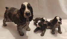 Cocker spaniel dog for sale  WEST CALDER