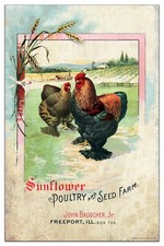 Vintage poultry farm for sale  Center Point