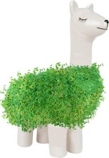 Lama sprossengarten green gebraucht kaufen  Cloppenburg