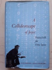 James joyce collideorscape d'occasion  Nice-