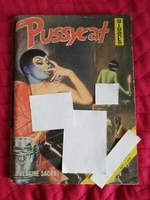 Pussycat 31 usato  Castelletto Sopra Ticino