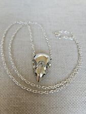 Birds head skull for sale  WAKEFIELD